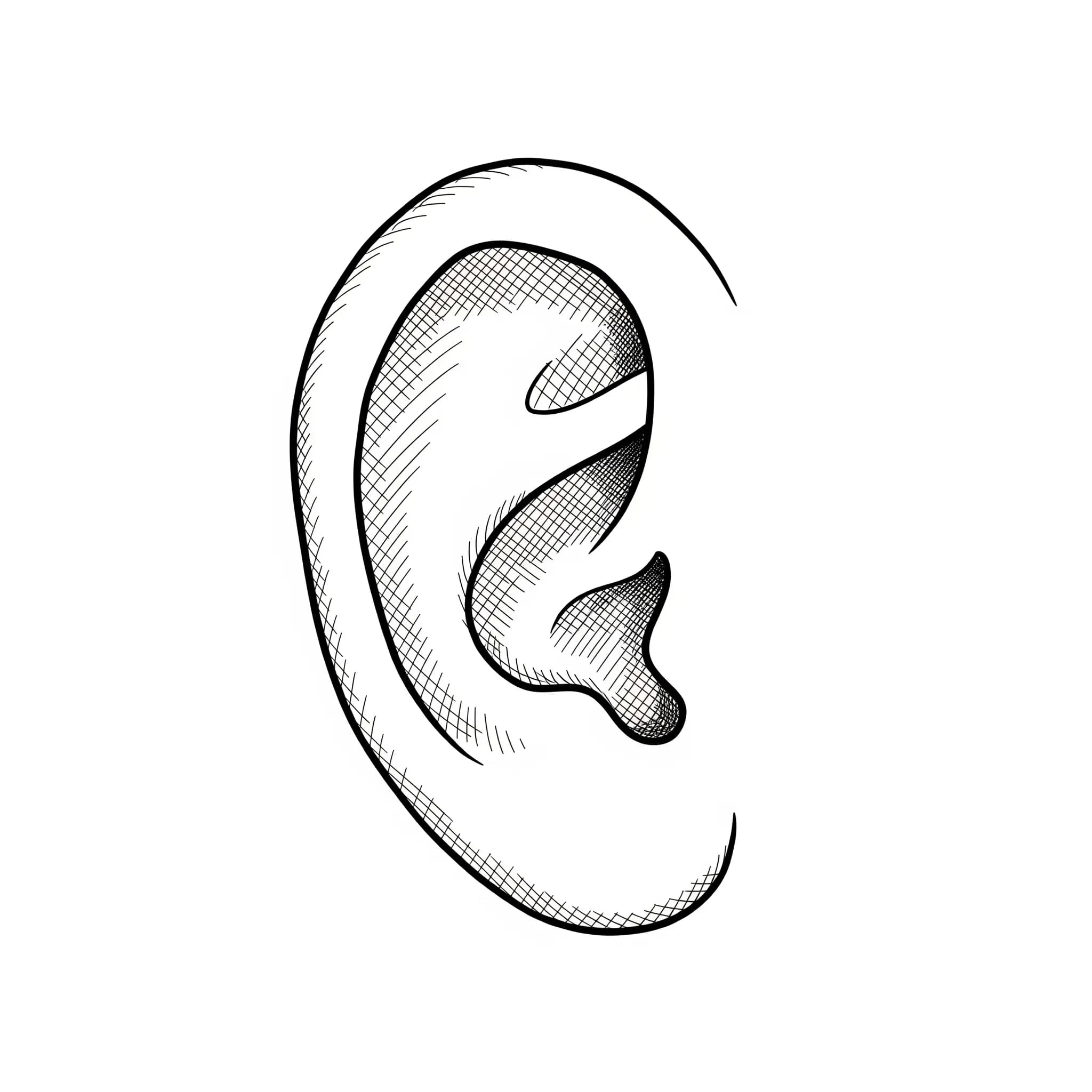 Round Ears