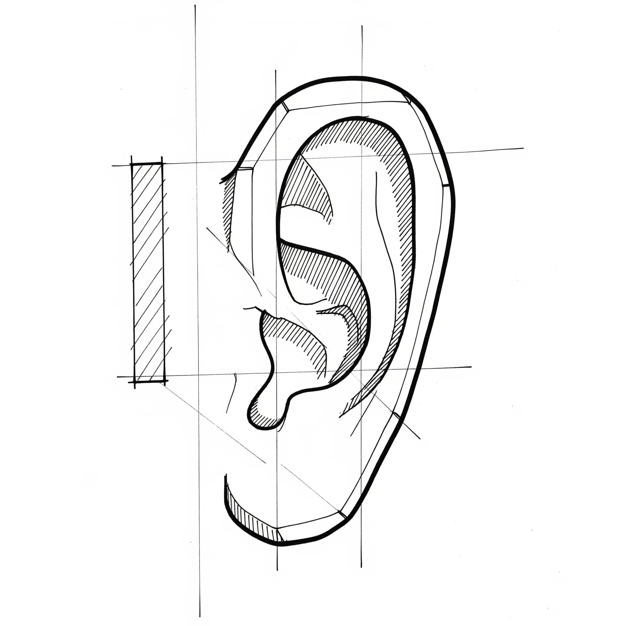 Square Ears