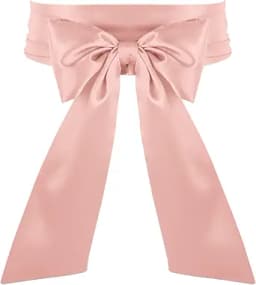 Women Dress Waist Belts Wedding Bridal Satin Sash Belts for Special Occasion Formal Prom Dresses 3.9\'\' Wide